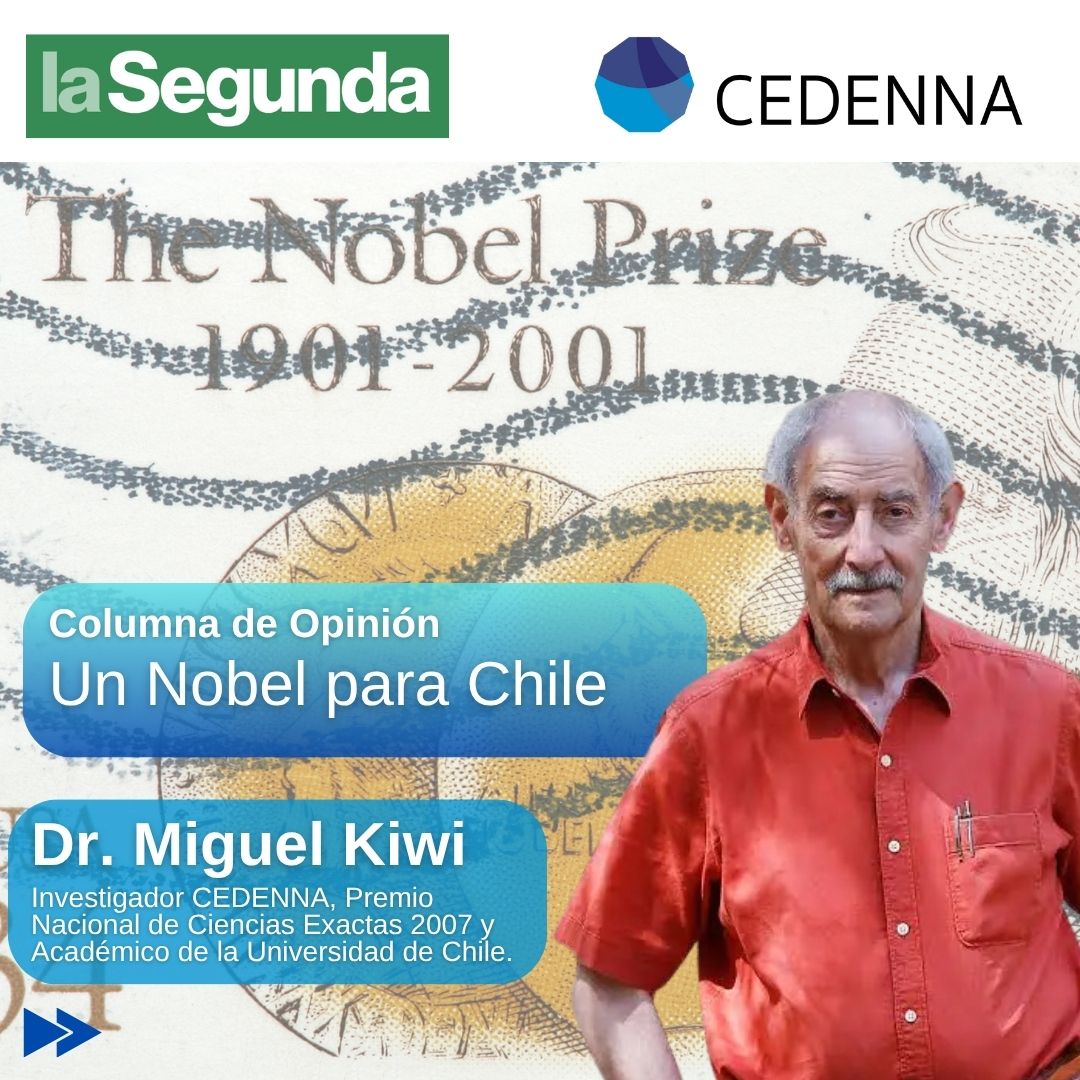 Columna Kiwi