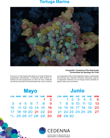 calenda 21