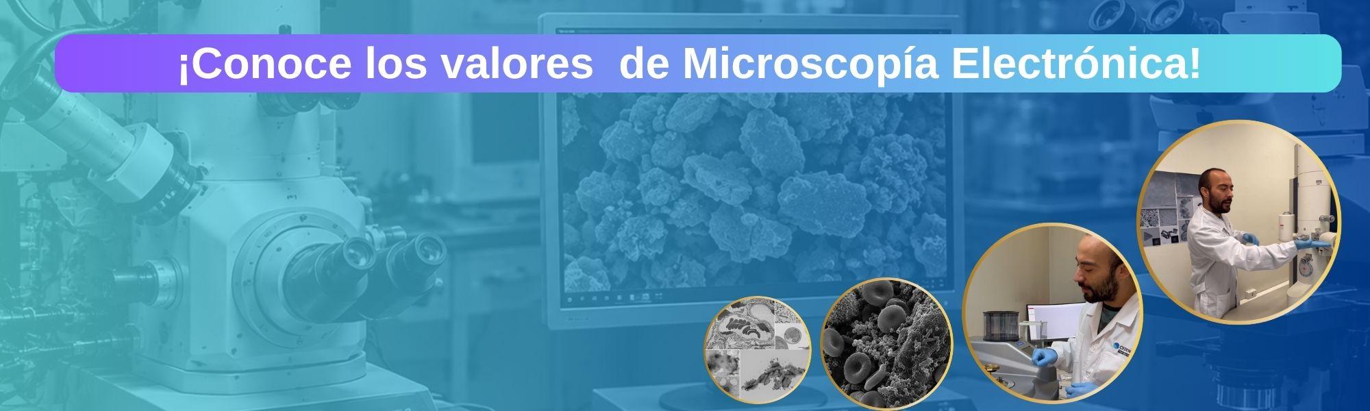 Slide Microscopía