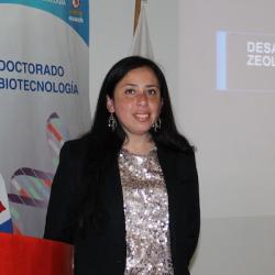 P Díaz