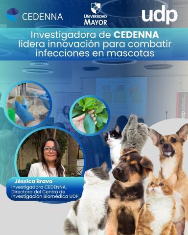 Pioderma