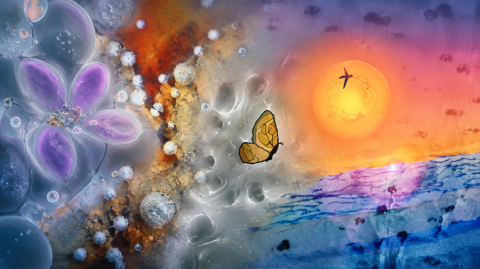 imagenes