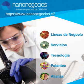 nanonegocios