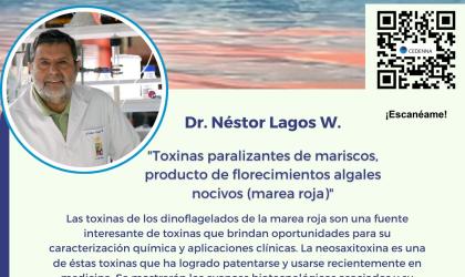 seminario nuevo